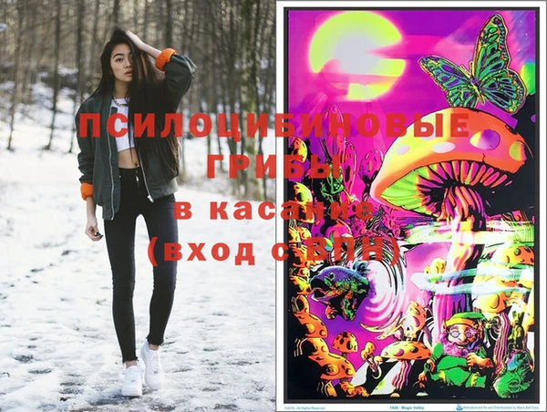 прущая мука Карпинск