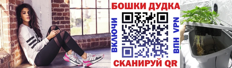 Бошки Шишки тримм это как зайти Бийск